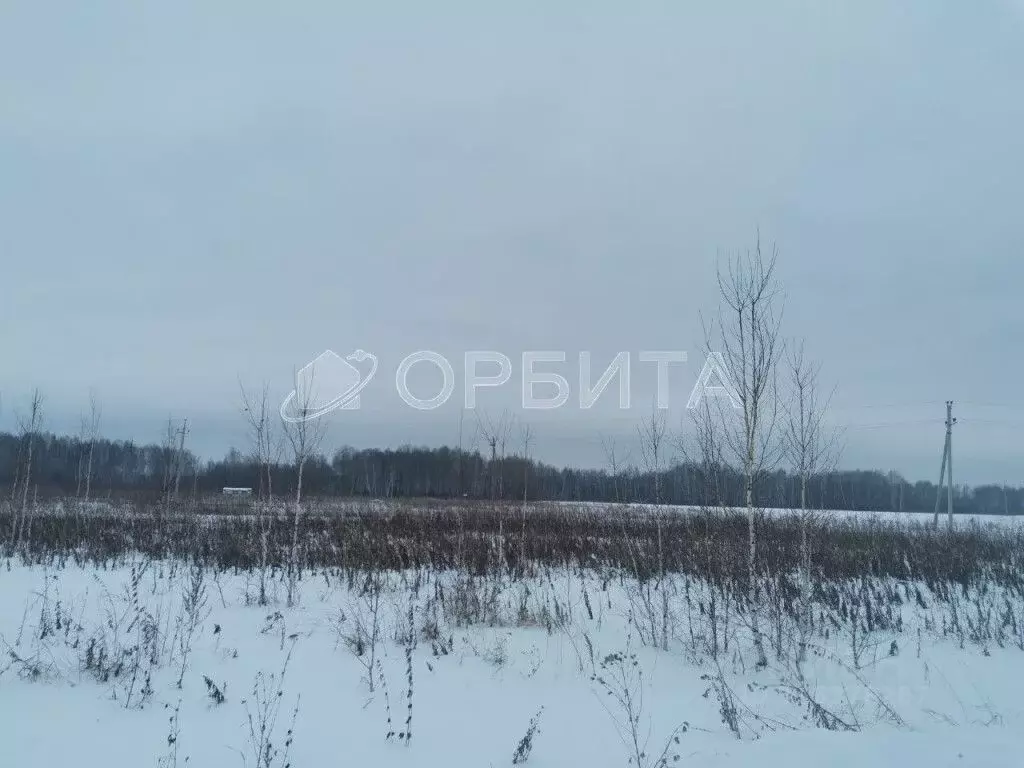 Участок в Тюменская область, Тюмень ул. Олега Антонова (6.0 сот.) - Фото 2