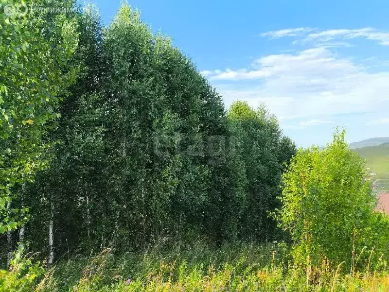 Участок в Алфёрово, Северная улица (6 м) - Фото 0