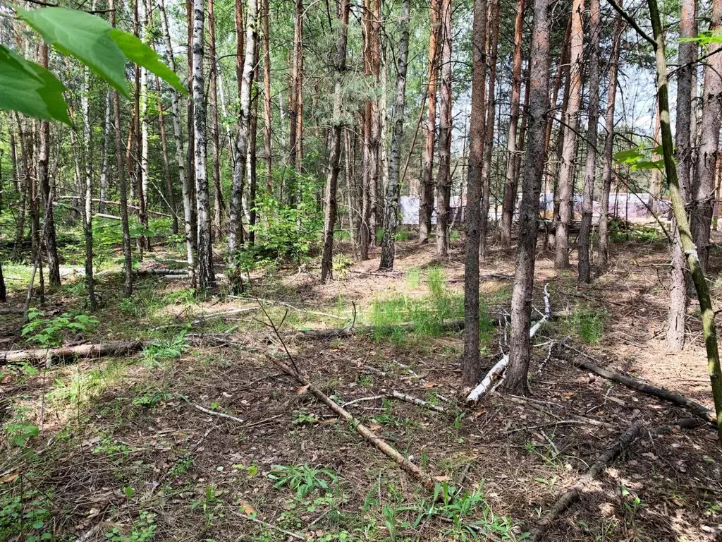 Участок в Воронежская область, Воронеж ул. Воробьевская (8.0 сот.) - Фото 1