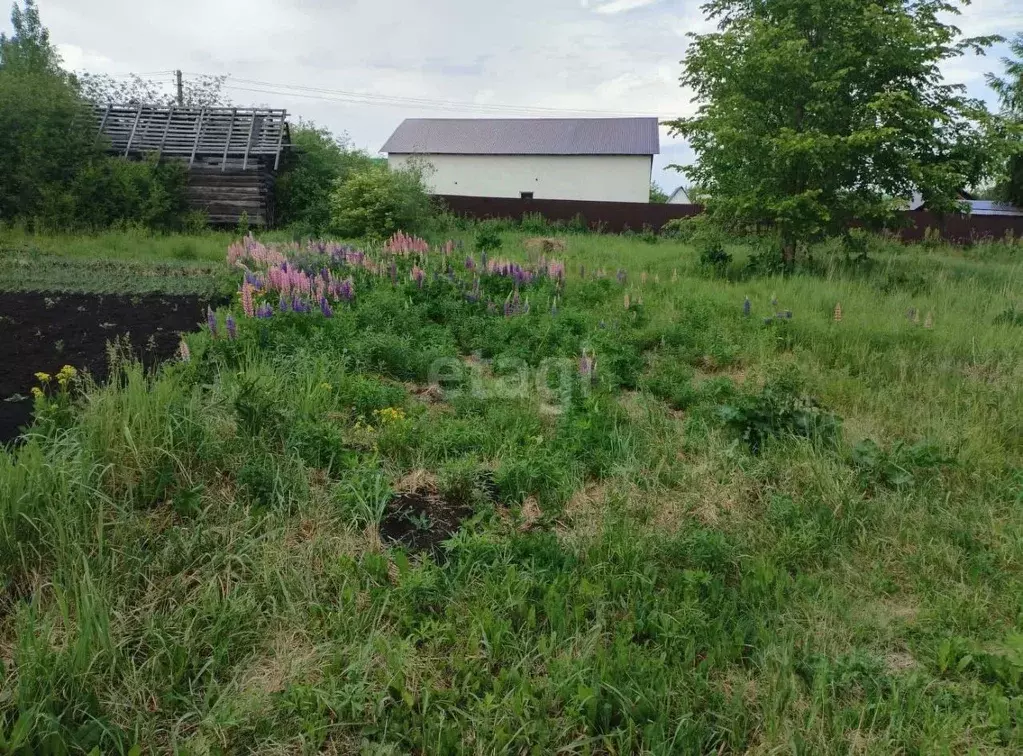 Участок в Башкортостан, Уфимский район, Таптыковский сельсовет, Шомырт ... - Фото 1