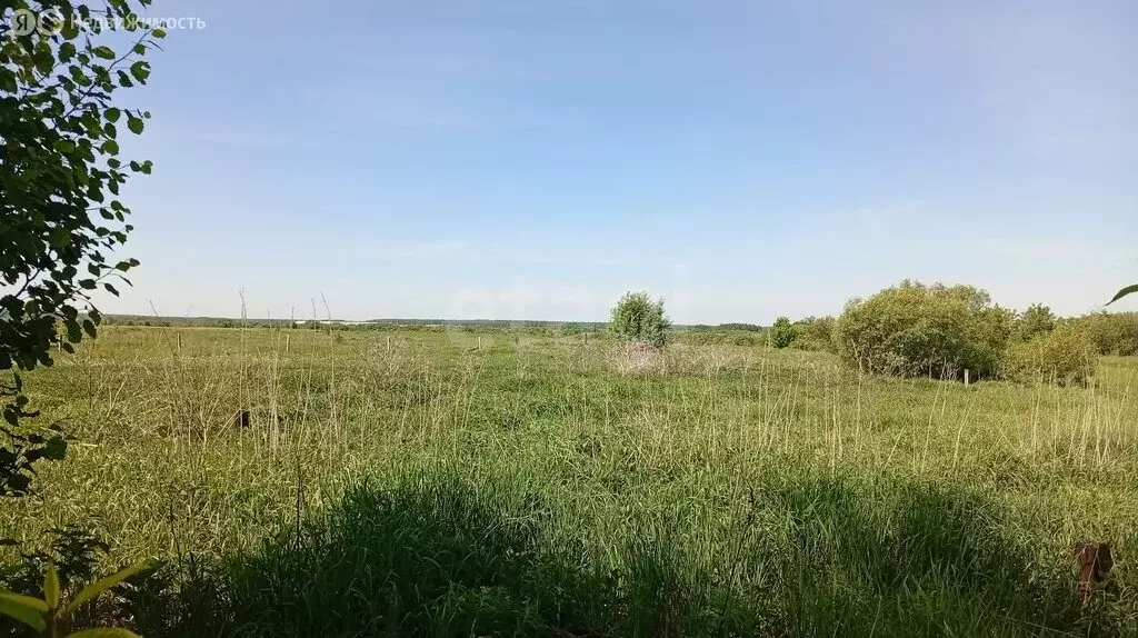 Участок в Свердловская область, Ирбитское муниципальное образование, ... - Фото 2