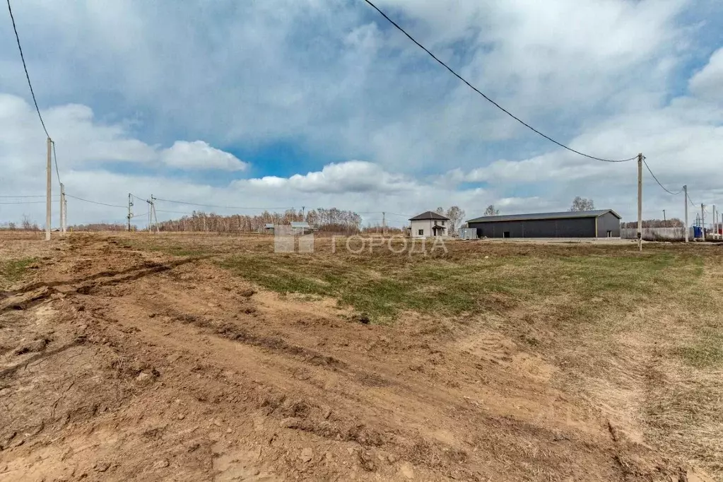Участок в Алтайский край, Барнаул городской округ, пос. Лесной ул. ... - Фото 0