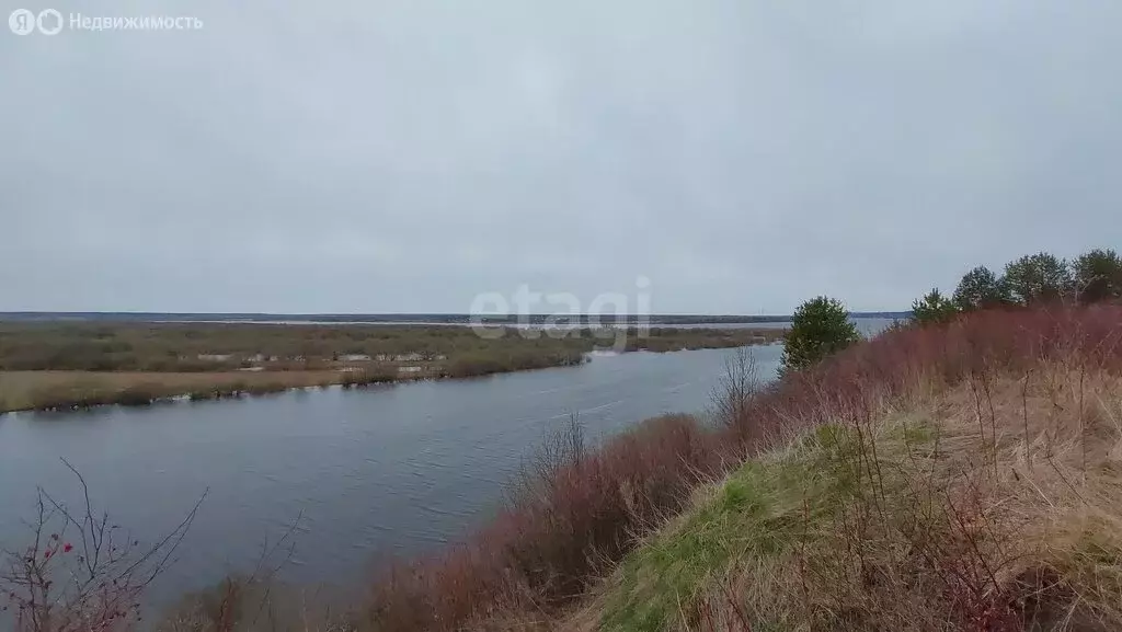 Участок в Архангельская область, Котласский муниципальный округ, ... - Фото 0