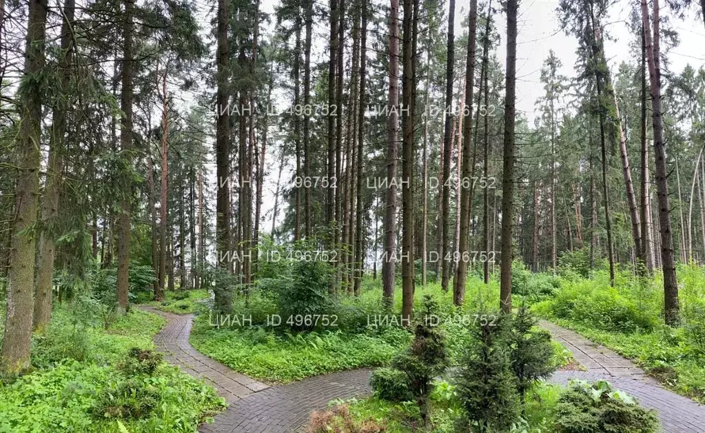 Участок в Московская область, Истра городской округ, д. Чесноково, ... - Фото 0