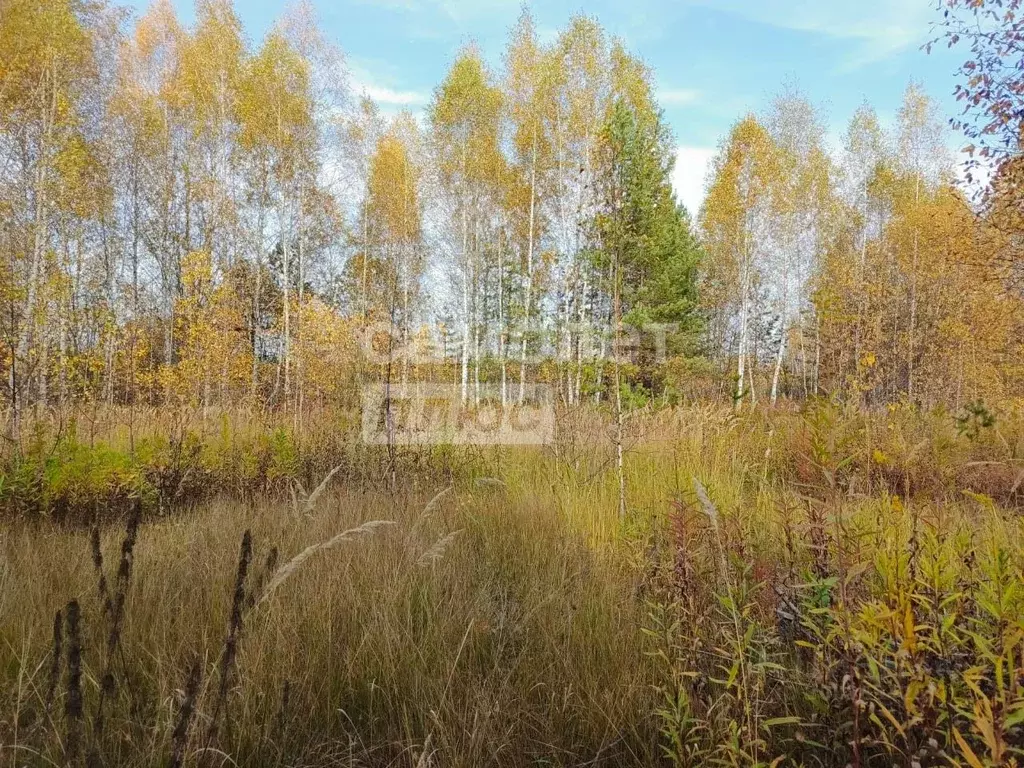 Участок в Татарстан, Зеленодольск Трудовик садовое товарищество,  (5.0 ... - Фото 1