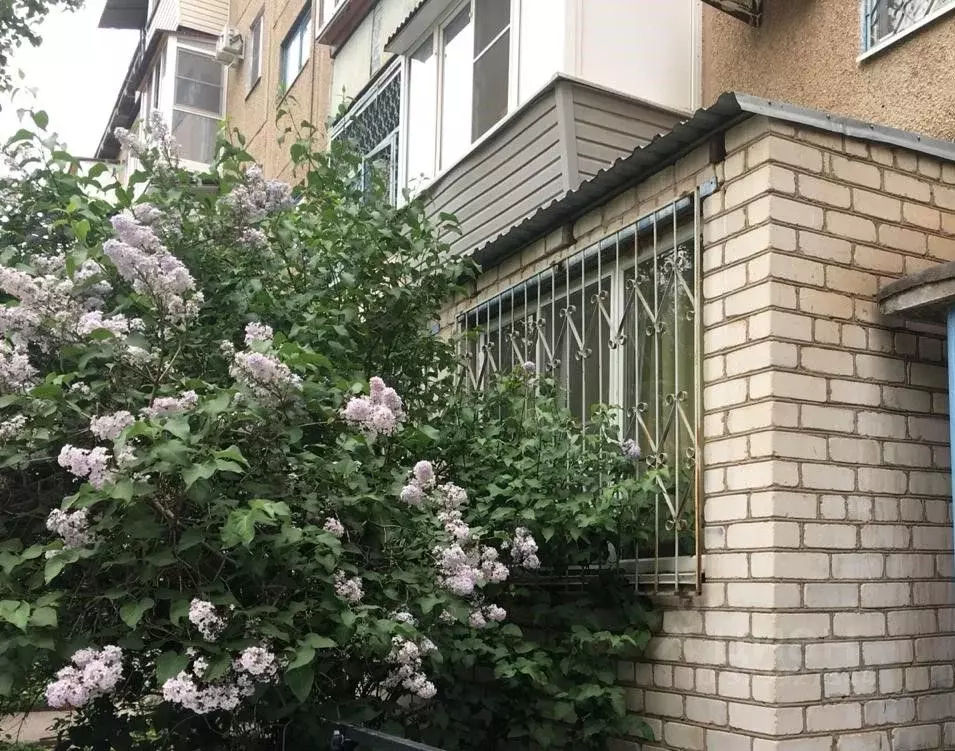 2-к кв. Волгоградская область, Волжский ул. Мира, 1 (43.4 м) - Фото 1