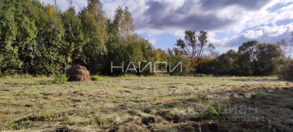 Участок в Рязанская область, Спасский муниципальный округ, с. Бельское ... - Фото 1
