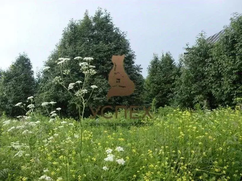 Участок в Нижегородская область, Дальнеконстантиновский муниципальный ... - Фото 1