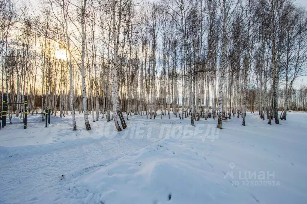 Участок в Тюменская область, Нижнетавдинский муниципальный округ, ... - Фото 1