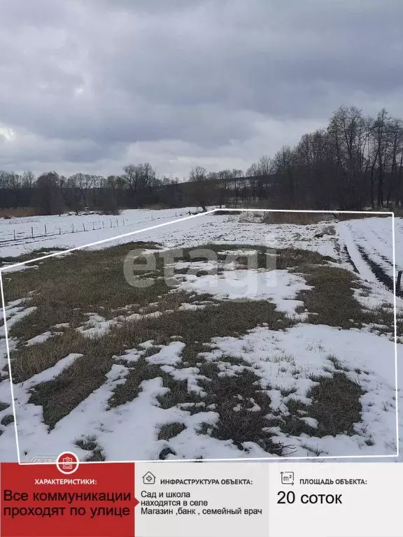 Участок в Белгородская область, Новооскольский муниципальный округ, с. ... - Фото 2