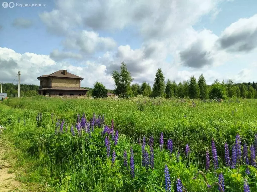 Участок в Костромской район, Бакшеевское сельское поселение, деревня ... - Фото 0