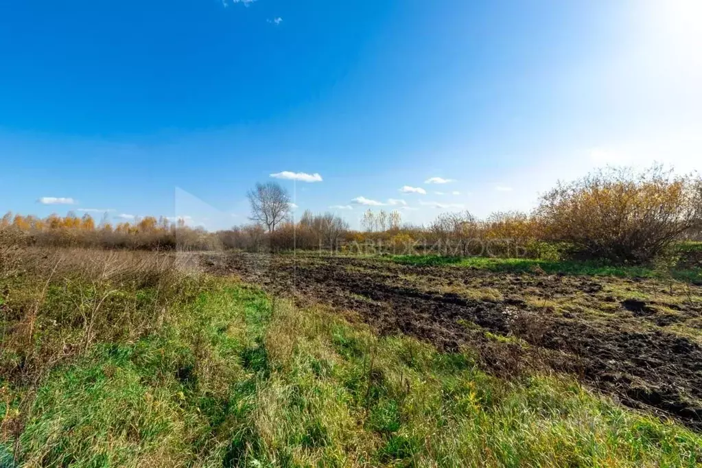 Участок в Тюменская область, Тюменский муниципальный округ, с. Борки  ... - Фото 1