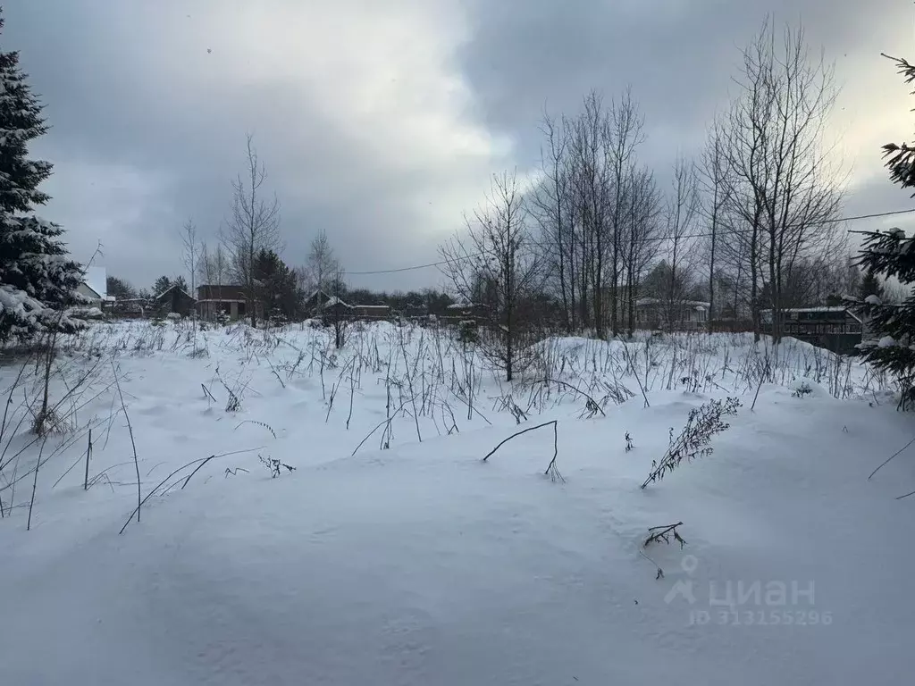 Участок в Московская область, Солнечногорск городской округ, д. ... - Фото 1