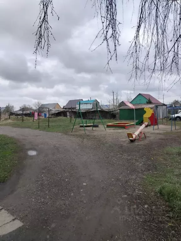 1-к кв. Новосибирская область, Новосибирский район, Толмачевский ... - Фото 1