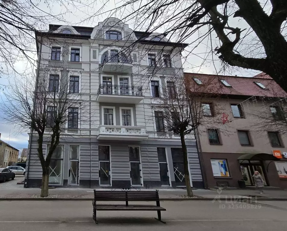 Помещение свободного назначения в Калининградская область, Советск ул. ... - Фото 1