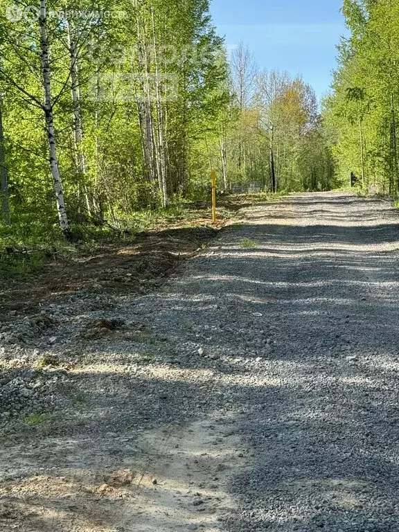 Дом в Череповец, Донецкая улица, 5 (36 м) - Фото 1