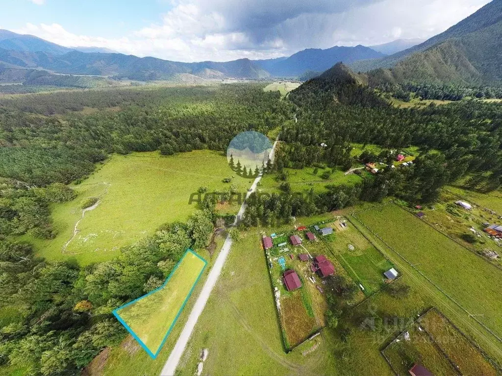 Участок в Алтай, Усть-Коксинский район, пос. Замульта Новая ул., 19А ... - Фото 1