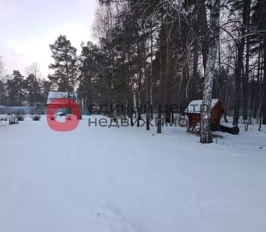 Участок в Тюменская область, Нижнетавдинский район, с. Тюнево ... - Фото 1