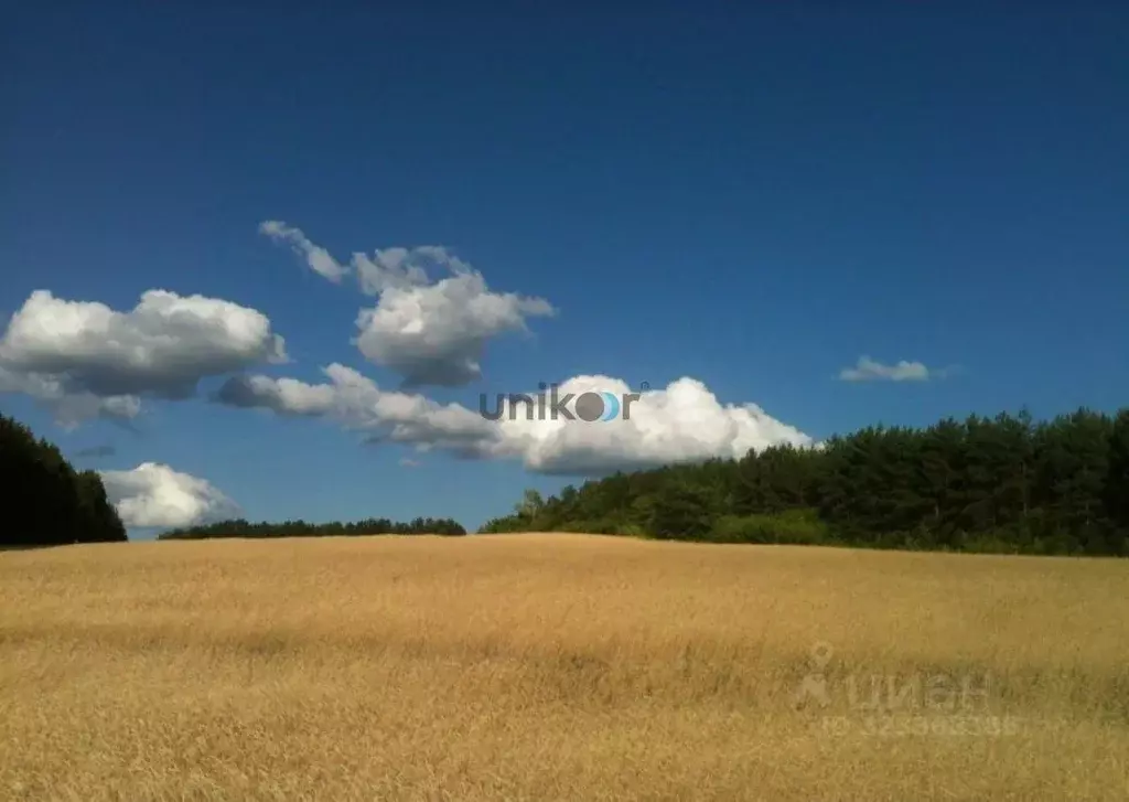 Участок в Башкортостан, Уфимский район, Дмитриевский сельсовет, д. ... - Фото 0