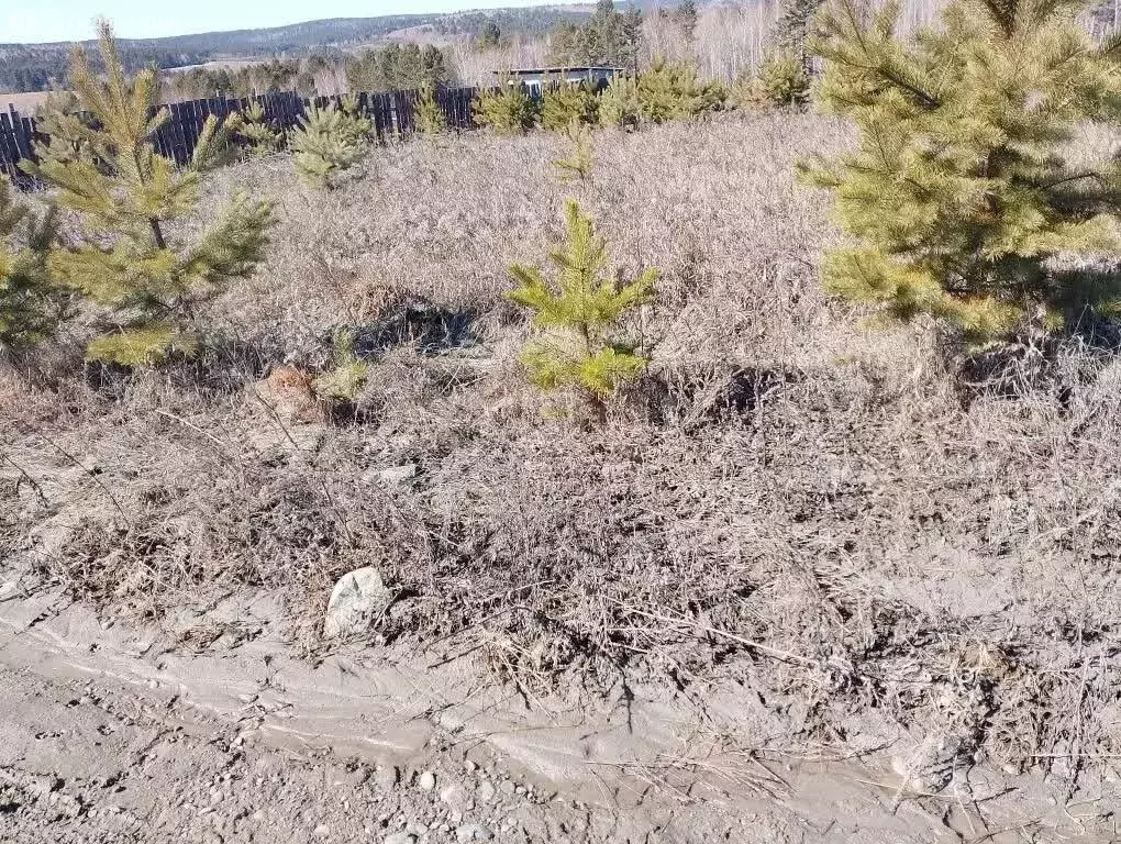 Участок в село Максимовщина, Мирная улица (13 м) - Фото 2
