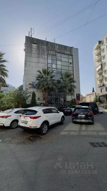 Офис в Краснодарский край, Сочи ул. Свердлова, 55 (400 м) - Фото 1
