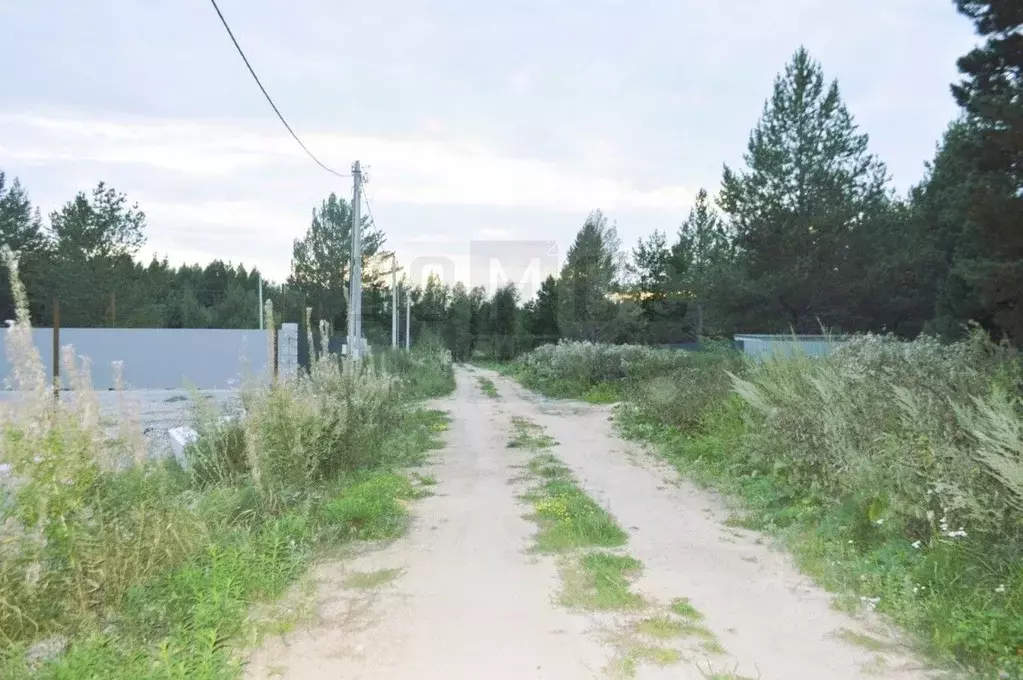 Участок в Свердловская область, Белоярский муниципальный округ, пос. ... - Фото 1