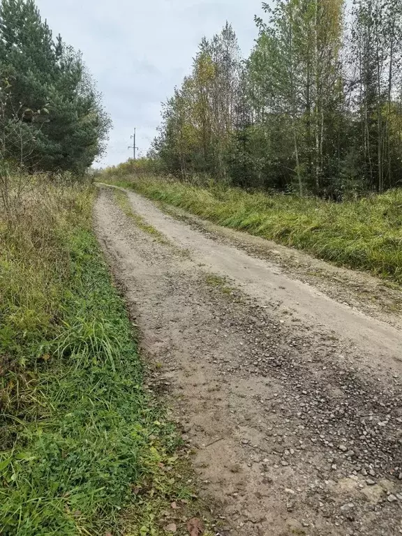 Участок в Ярославская область, Рыбинский муниципальный округ, д. ... - Фото 2