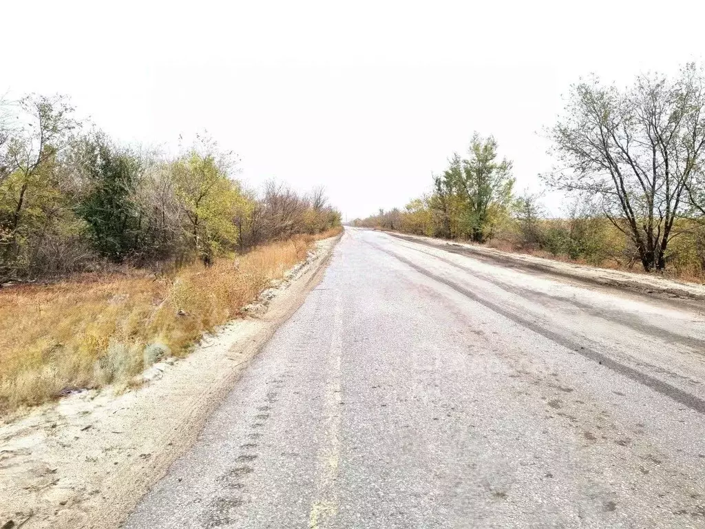 Участок в Волгоградская область, Городищенский район, Орловское с/пос, ... - Фото 2