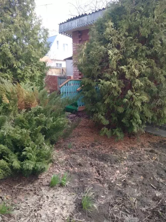 Дом в Омская область, Омск СОСН Строитель-5 тер.,  (45 м) - Фото 1