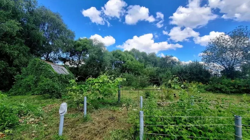 Дом в Брянская область, Брянск Садовод садовое общество,  (20 м) - Фото 1