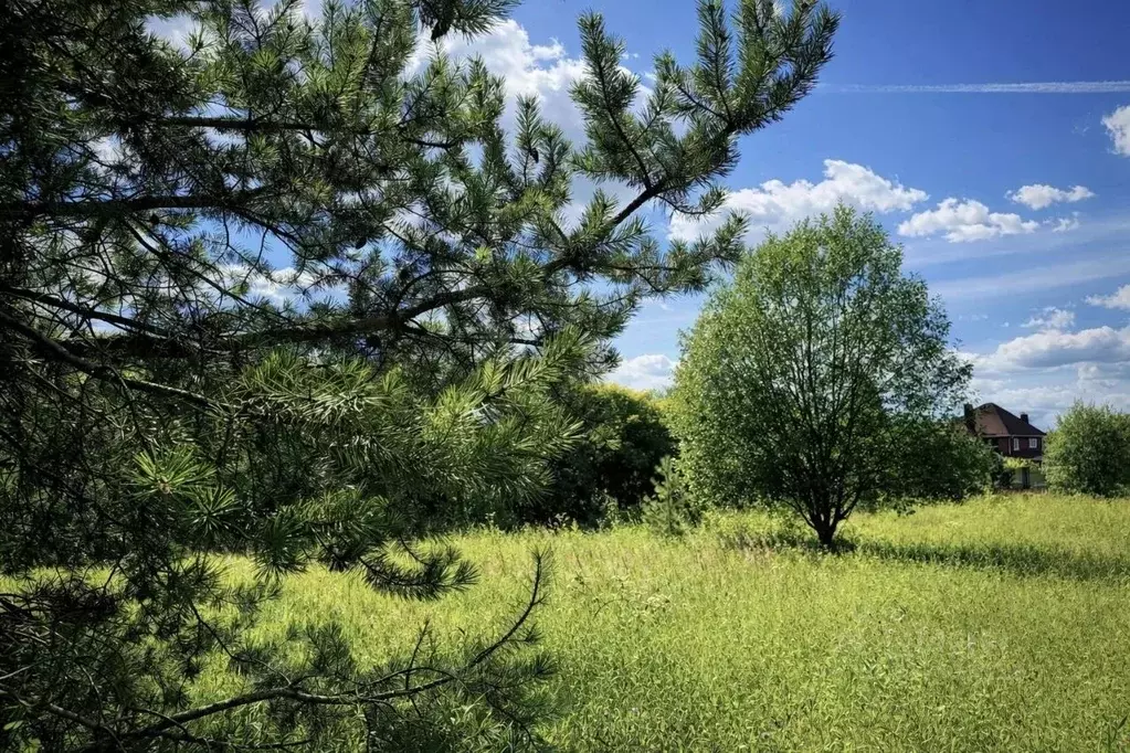 Участок в Московская область, Пушкино Моспроекта мкр, Лесная ул., 13 ... - Фото 1