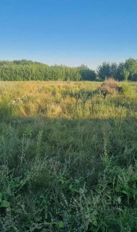Участок в Белгородская область, Старый Оскол ул. Мира (8.0 сот.) - Фото 1