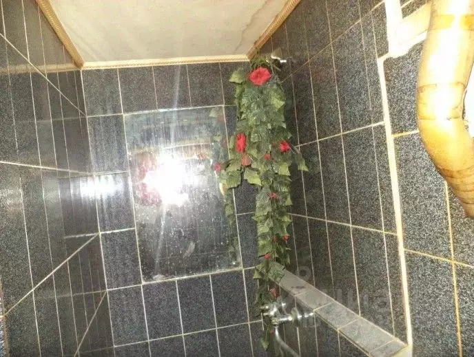 Помещение свободного назначения в Томская область, Томск просп. Мира, ... - Фото 1