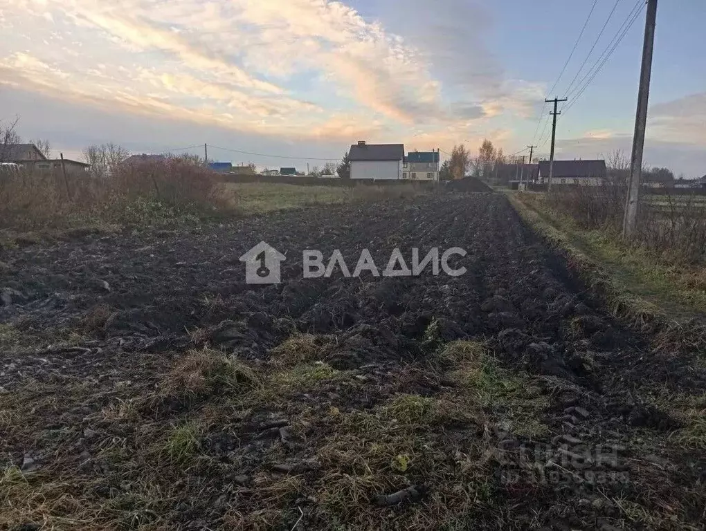 Участок в Владимирская область, Суздальский район, с. Павловское Новая ... - Фото 0