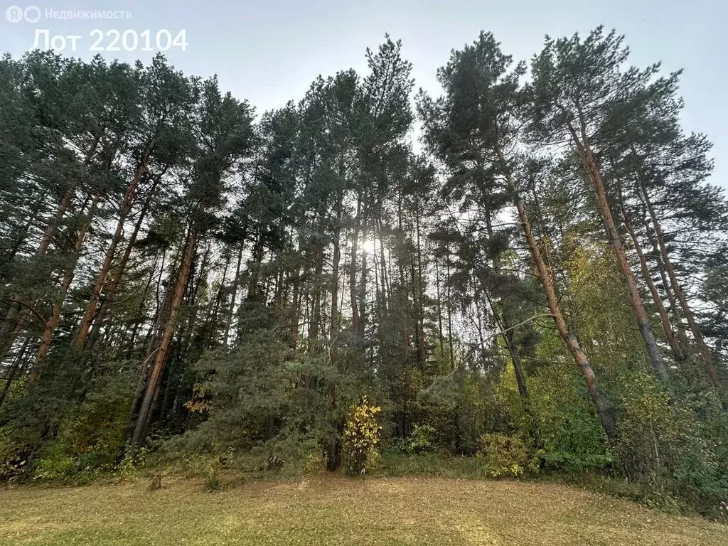 Участок в Одинцовский городской округ, село Иславское (14.39 м) - Фото 1