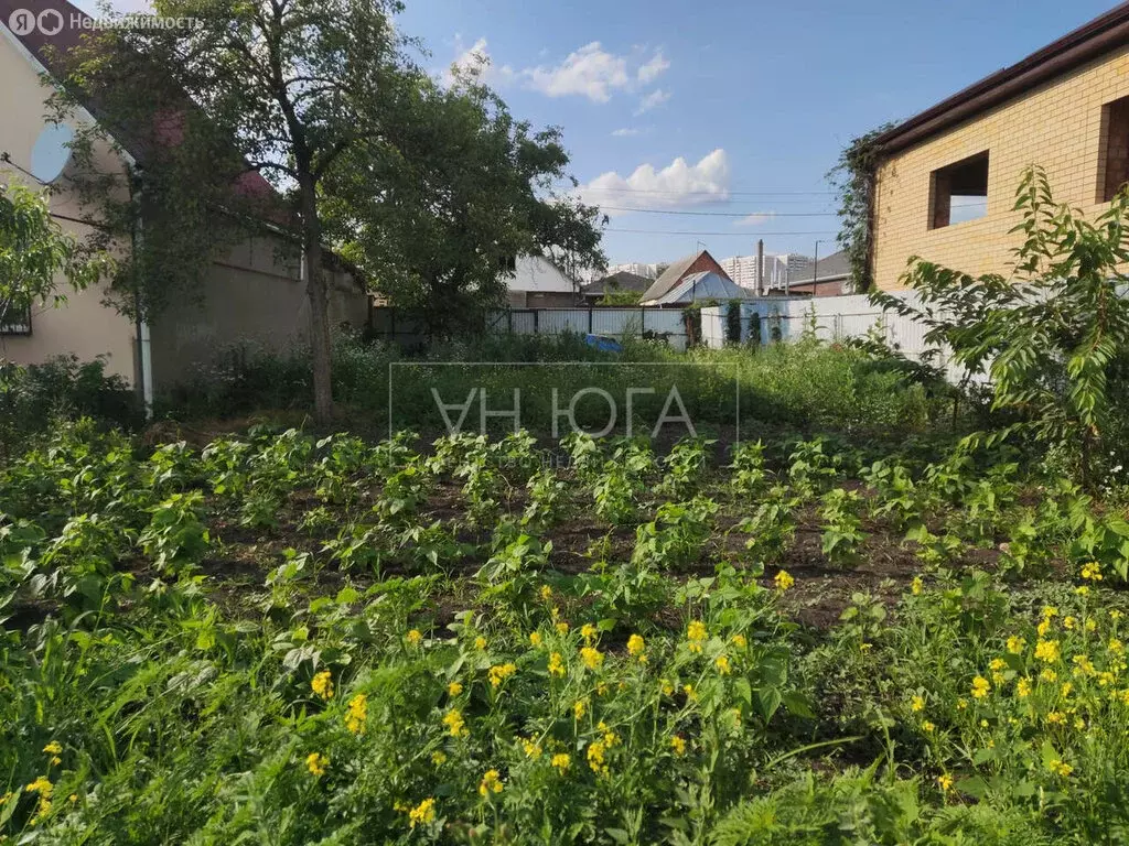 Участок в Ставрополь, садовое товарищество Дружба, 349 (4.6 м) - Фото 1