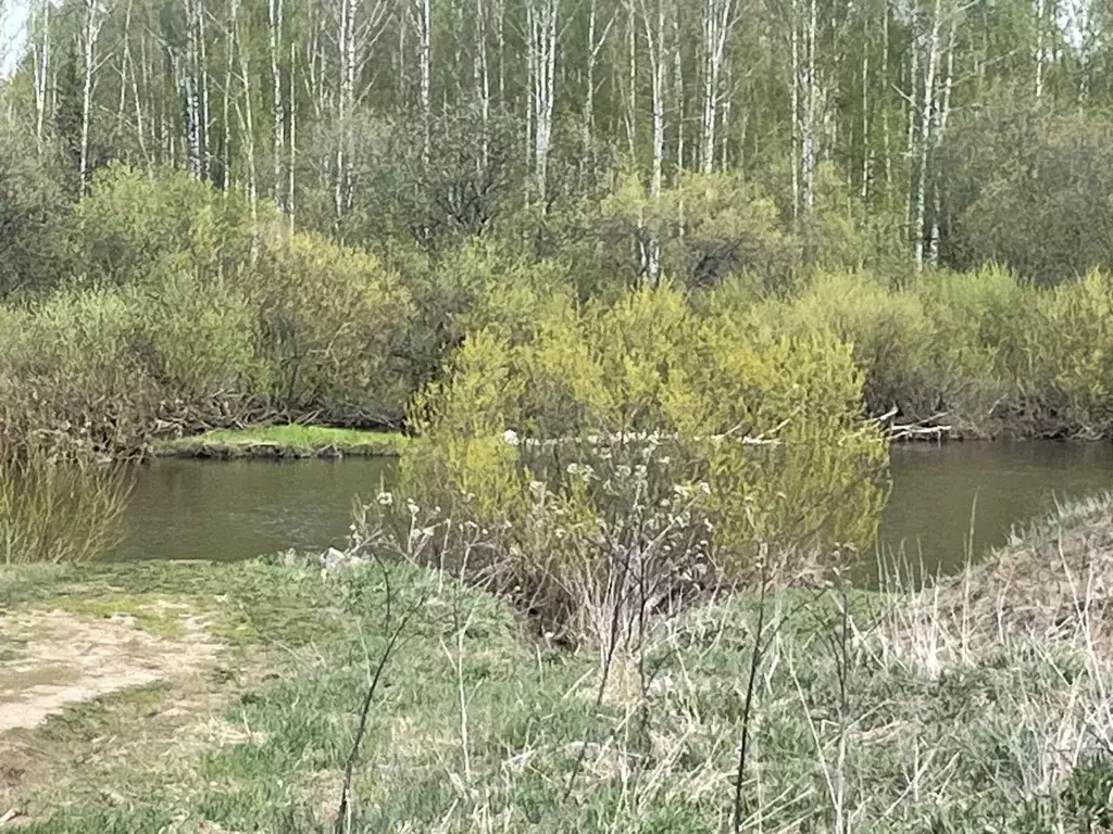 Участок в Свердловская область, Староуткинск городской округ, д. Курья ... - Фото 0