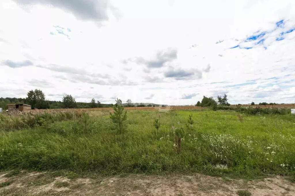 Участок в Тюменский муниципальный округ, ТСН Серебряный Бор плюс, ... - Фото 2