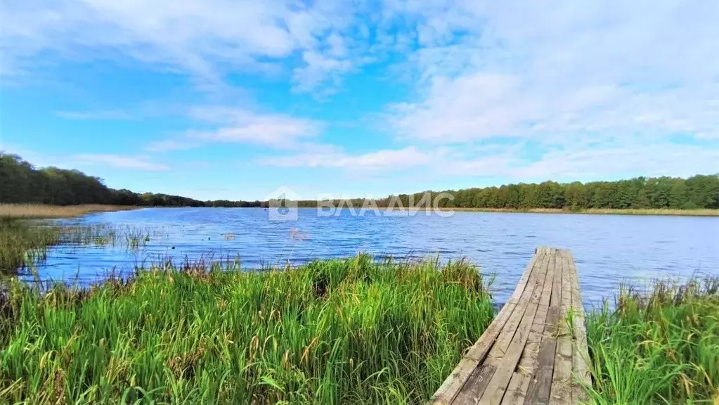 Участок в Владимирская область, Камешковский муниципальный округ, д. ... - Фото 1