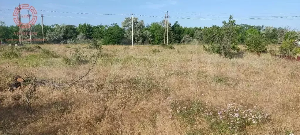 Участок 4,1 сот. (СНТ, ДНП) - Фото 0