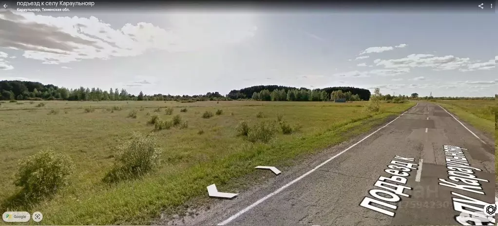 Участок в Тюменская область, Ярковский район, с. Гилево ул. ... - Фото 0