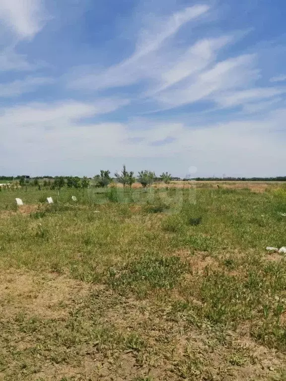 Участок в Ростовская область, Ростов-на-Дону  (4.8 сот.) - Фото 1