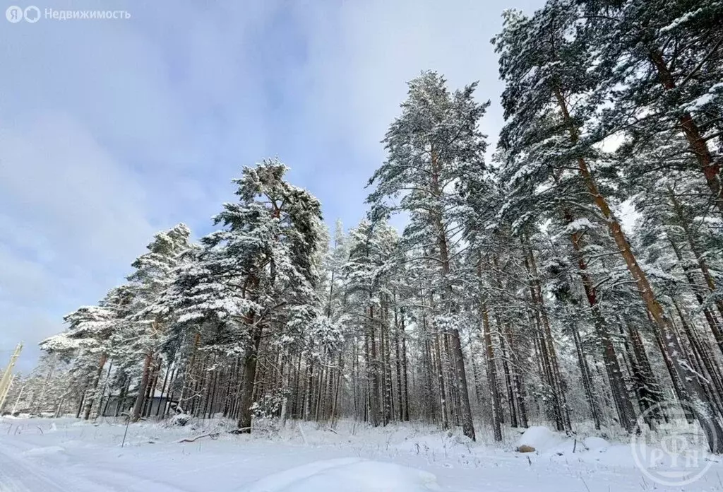 Участок в Выборгский район, Полянское сельское поселение, посёлок ... - Фото 1
