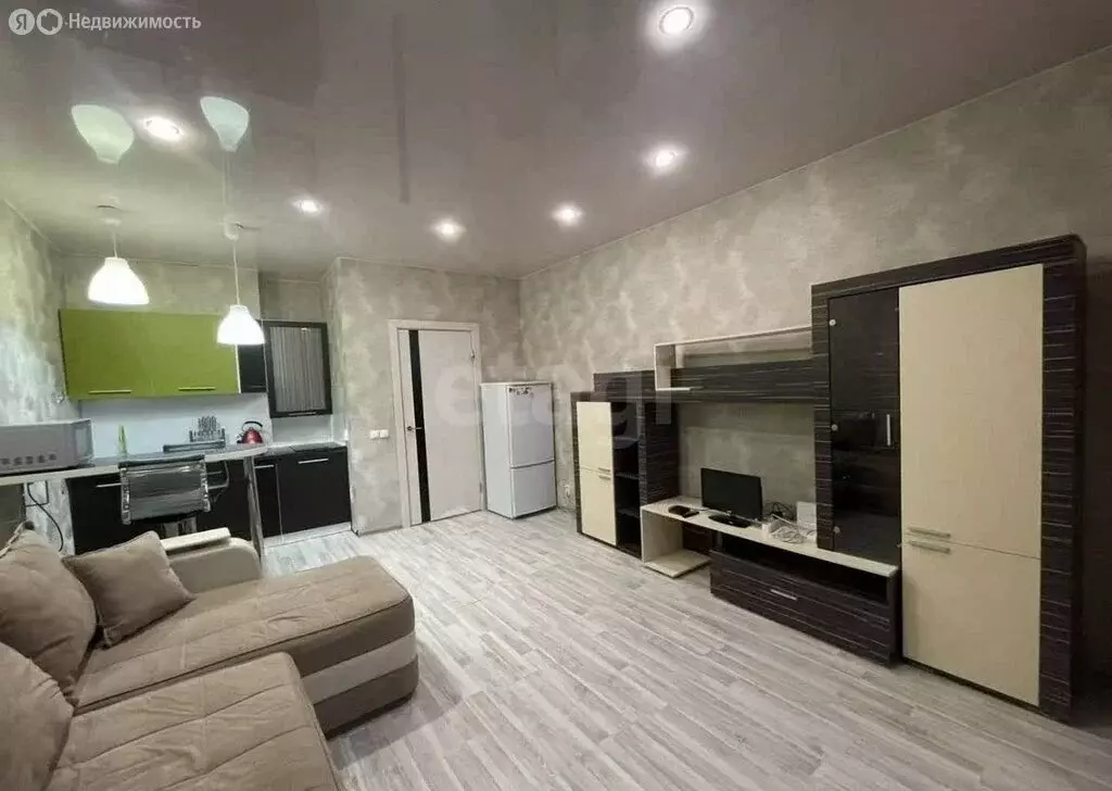 Квартира-студия: Благовещенск, Новая улица, 11 (30 м) - Фото 2