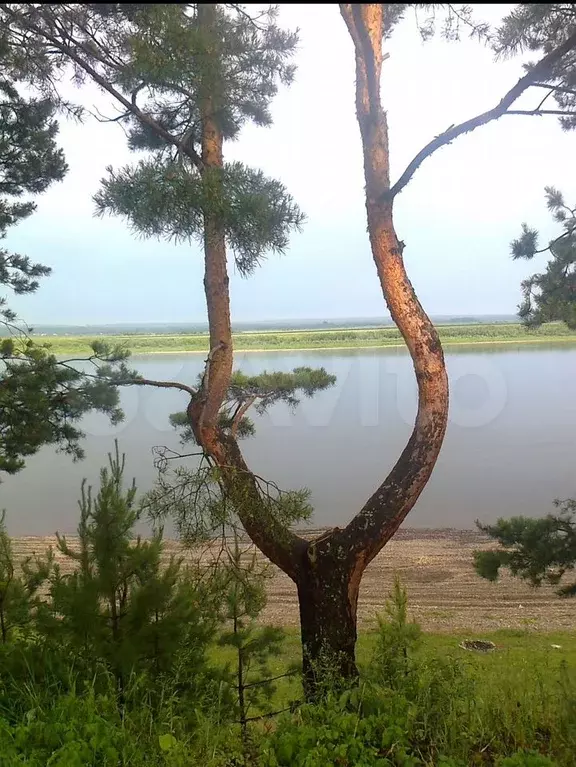 Дача 70 м на участке 27 сот. - Фото 1