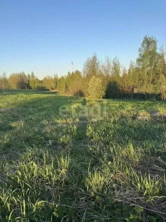 Участок в Ленинградская область, Всеволожский район, Бугровское ... - Фото 1