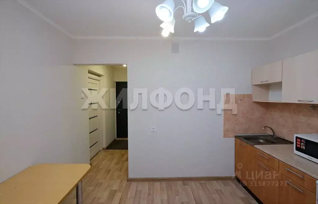 1-к кв. Новосибирская область, Новосибирск Тихвинская ул., 1 (32.5 м) - Фото 1