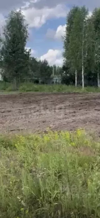 Участок в Тюменская область, Нижнетавдинский муниципальный округ, ... - Фото 1