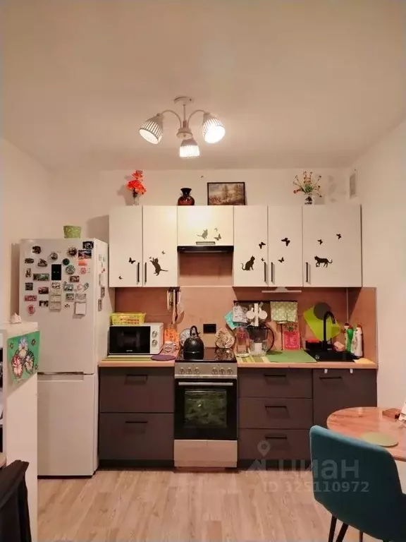 Студия Санкт-Петербург ул. Чарушинская, 22к1 (20.4 м) - Фото 1