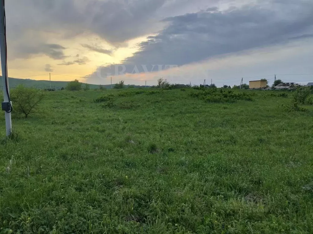 Участок в Алтай, Майминский район, с. Подгорное ул. Заречная (7.2 ... - Фото 2
